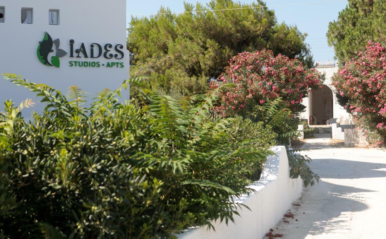 Iades Studios & Apartments Agia Anna  Extérieur photo